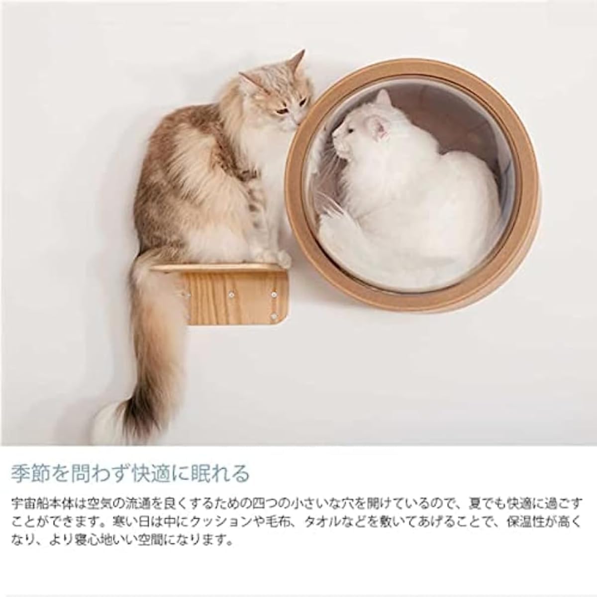 その他 NEKO Amazon | Neko Hacker | Neko Hacker | ダンス・エレクトロニカ