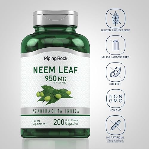 Miniatura 3 de Piping Rock Cápsulas de hojas de neem  950 mg  200 píldoras en polvo  Suplemento de extracto de hierbas  Azadirachta Indica  Sin OMG, sin gluten