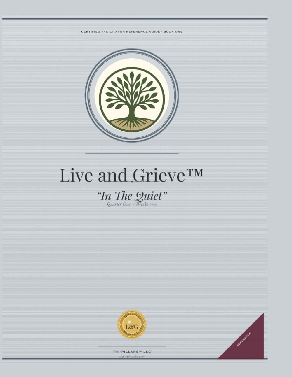 In The Quiet: Live and Grieve Certified Facilitator Reference Guide      Paperback – September 7, 2025