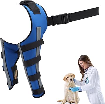 Dog Hip Supporter, Knee Protection, Injury Prevention, Hip Support for Dogs, Joint Weakness, Stabilization, Recovery, Injury, Rehabilitation