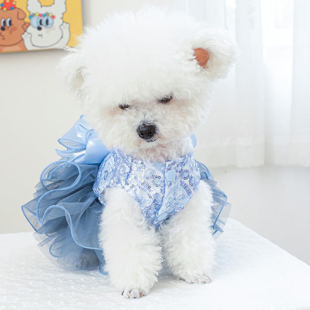ANIAC Blue Cat Wedding Dress and Bow Dog Wedding Outfit Formal Puppy Clothes for Girl Small Dog Luxury Pet Party Dress for Kitten Chihuahua Yorkie Pomeranian (Blue-2, Medium)