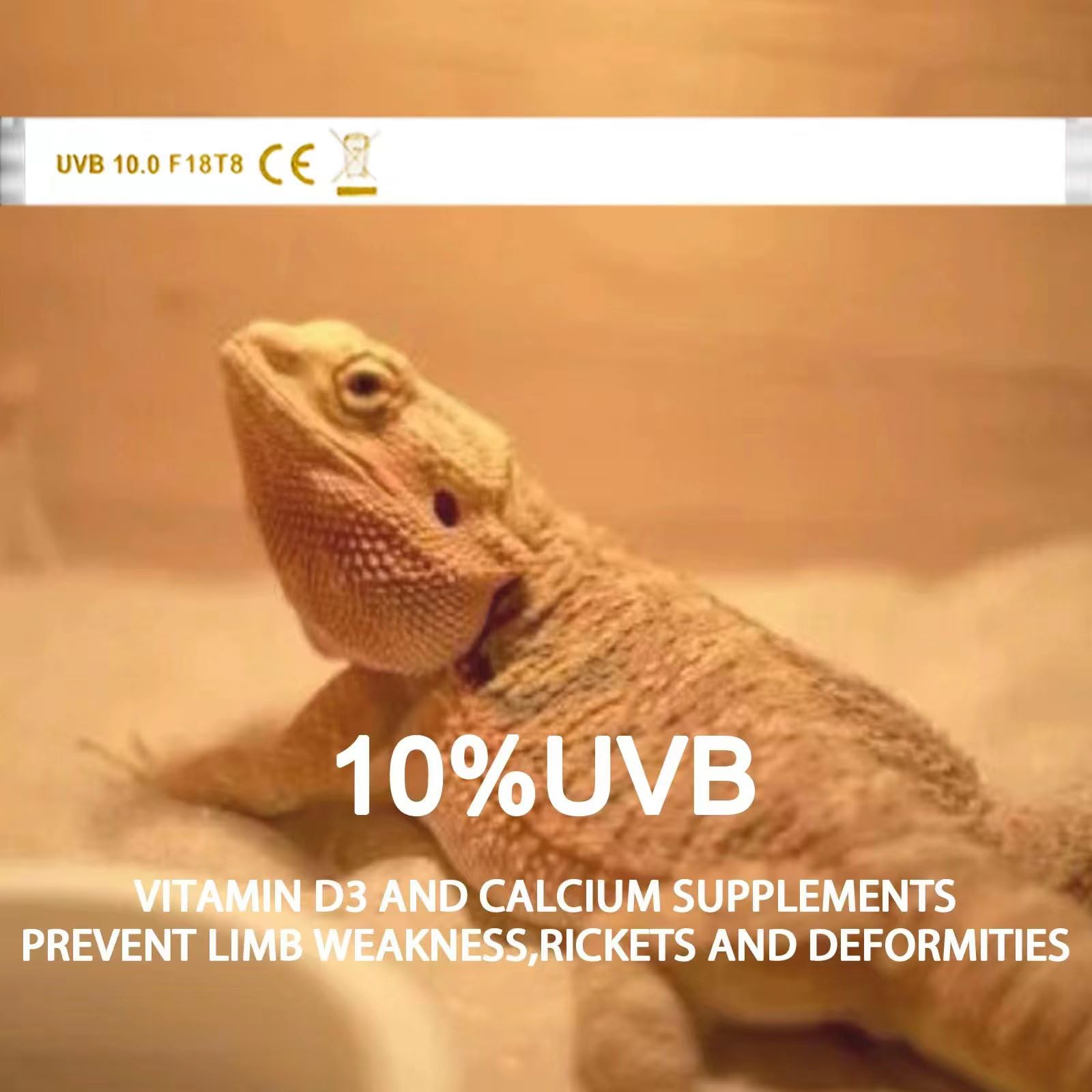 Celiwace T8 10.0 UVB Reptile Light 24 Inches 18 Watt, UVA UVB Bulb,Fluorescent Lamp for Bearded Dragon