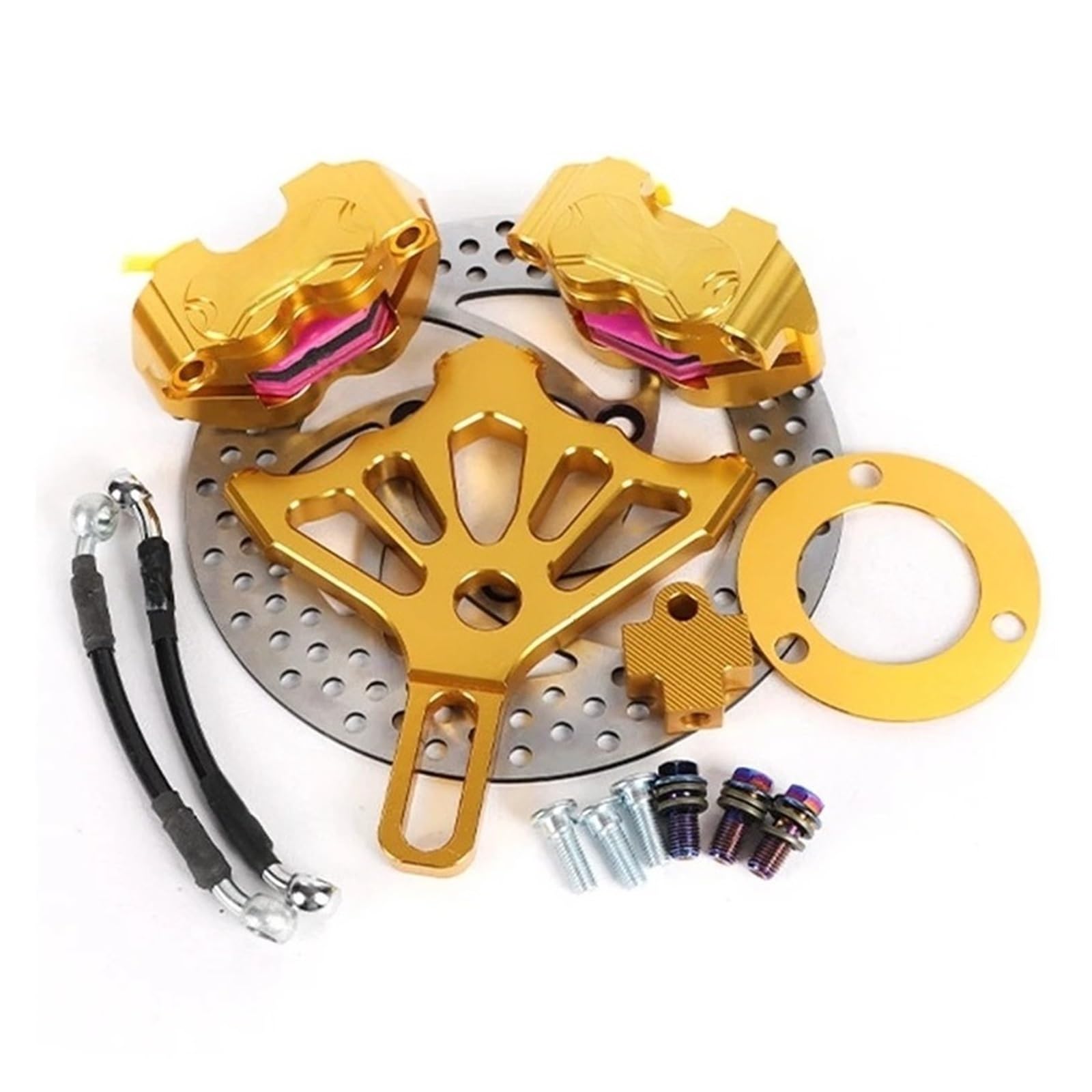 Disco freno flottante Pinza Freno Posteriore Doppia Per Moto Con Staffa Adattatore E Set Di Dischi Da 220 Mm Per Scooter(G)