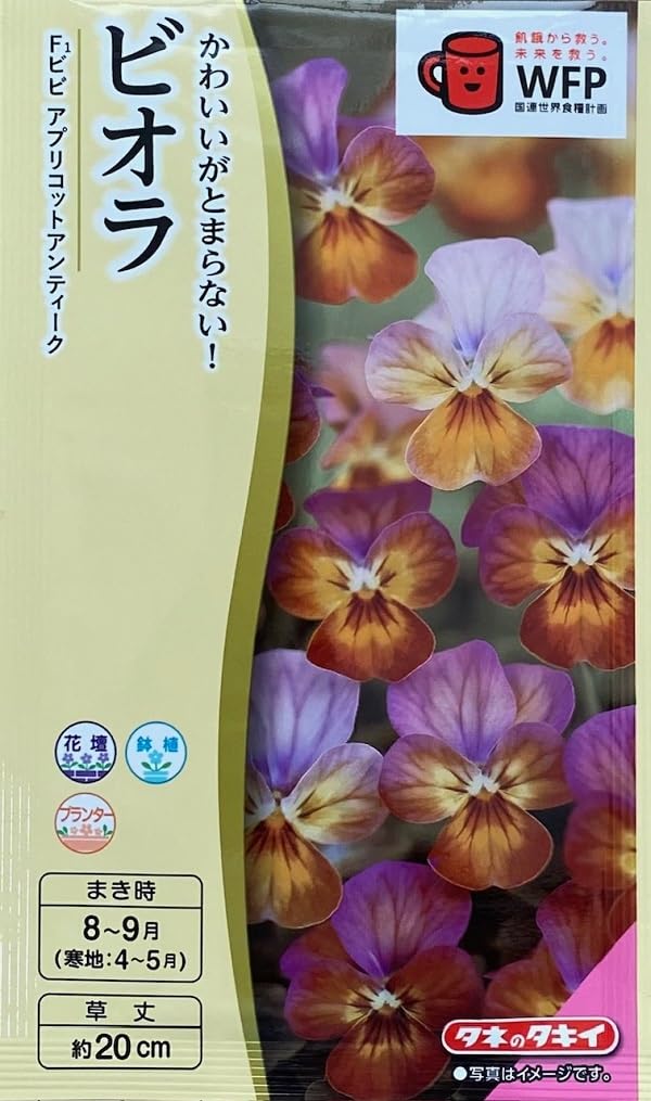 タキイ　アンティークアイロン タキイ アンティークアイロン 2025年最新】Yahoo!オークション -タキイ
