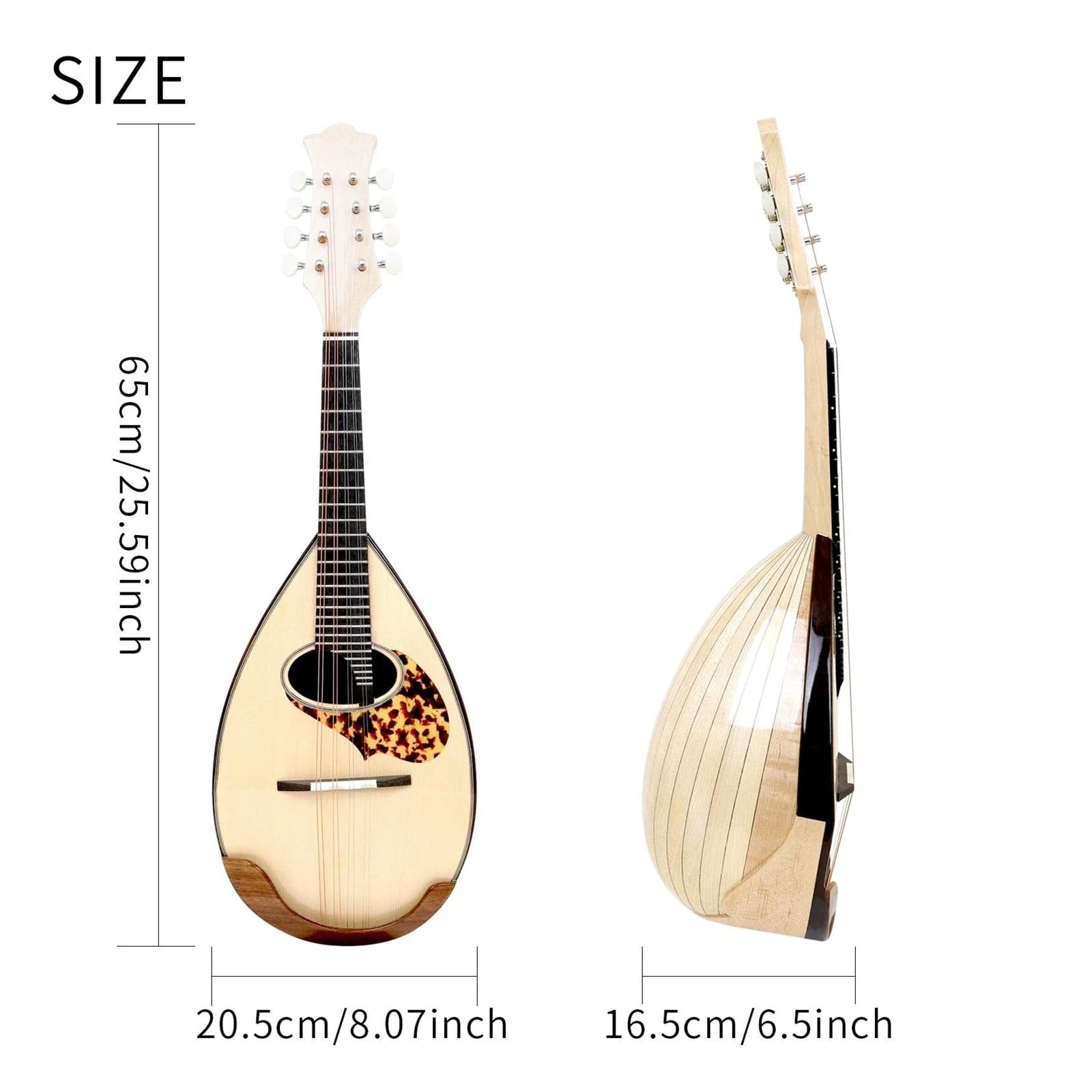 Amazon | 大人用マンドリン楽器 クラシックマンドリン 8弦弦楽器