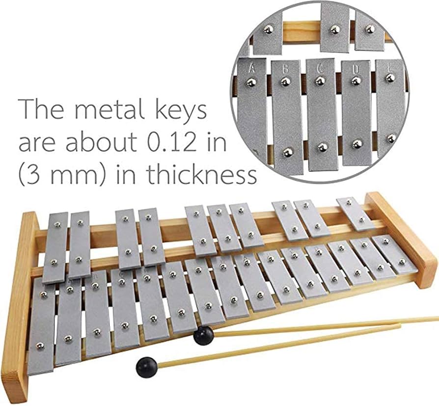 Glockenspiel Diatonico 25 Tasti - Strumento Musicale Con Martelli Per Principianti