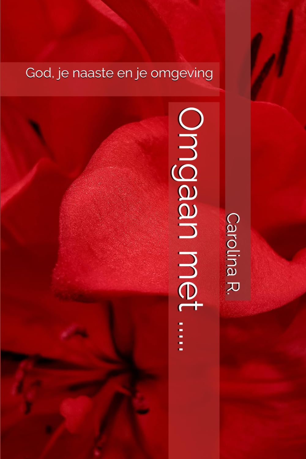 Omgaan met .....: God, je naaste en je omgeving (Verdiepende studies)
