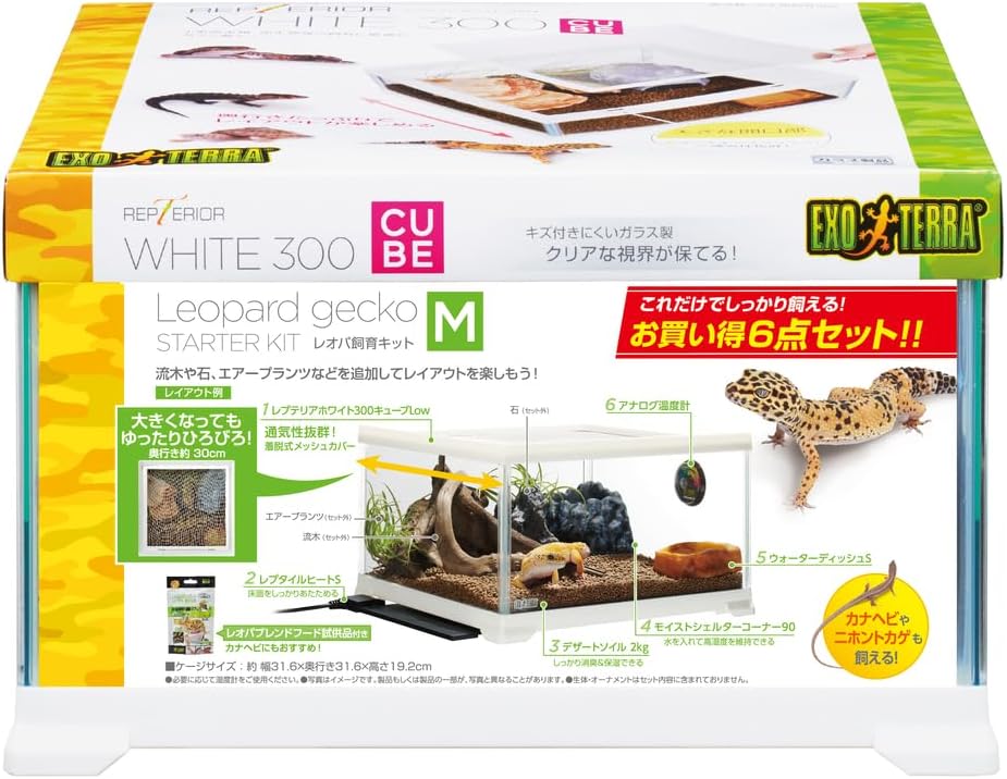 かとうゆみ 植木鉢 かとうゆみ ねこ 大 陶芸