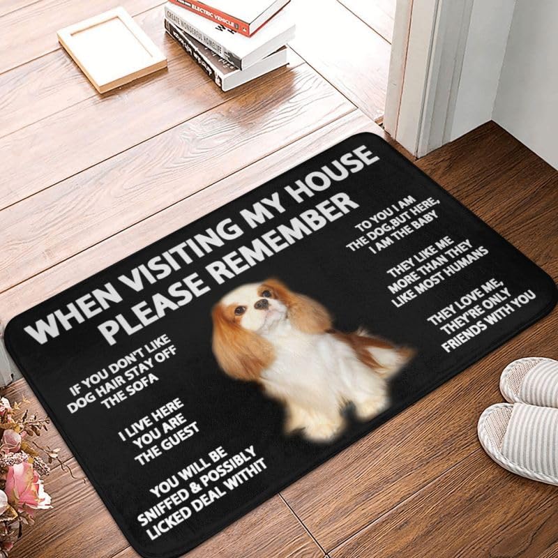 When Visiting My House Please Remember Cavalier King Charles Spaniel Indoor Doormat Durable Welcome Front Door Mats Entryway Rugs Non-Slip Resist Dirt
