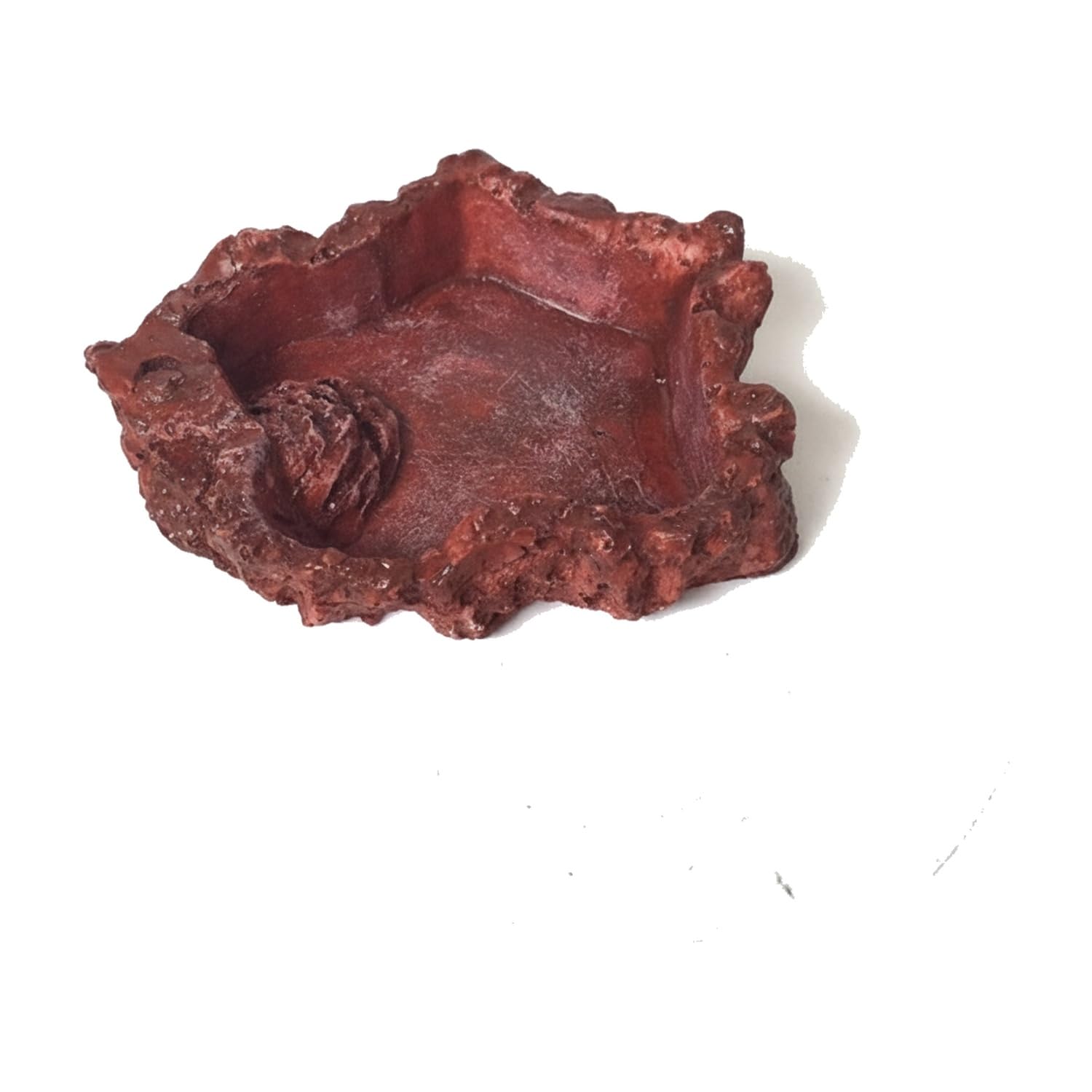 Plato para Terrario, 1 PC