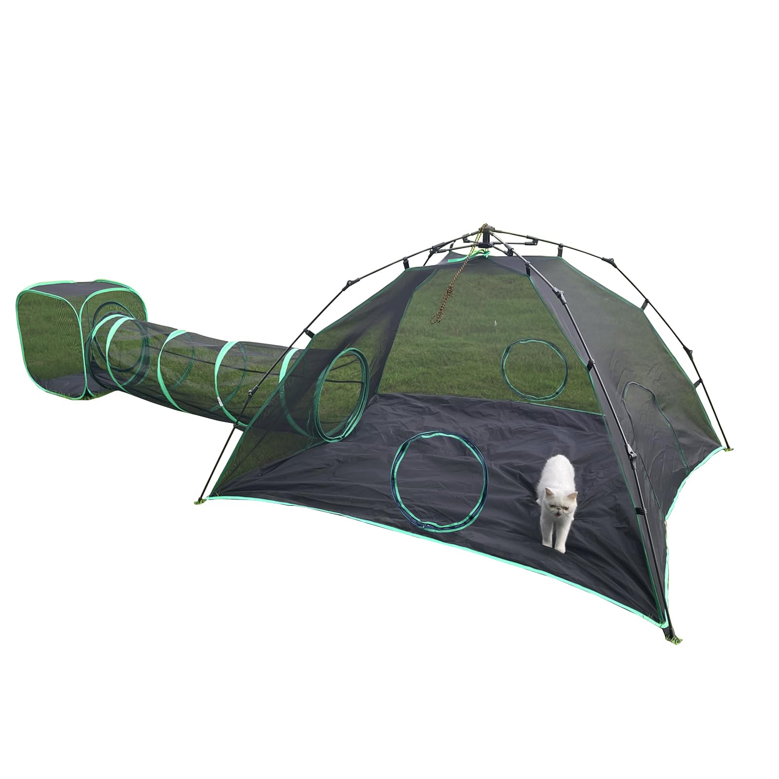 Pawtenda Recinzioni per gatto 3 in 1, portatile, per esterni, con 1 tenda a cupola, 1 tunnel dritto e 1 cubo, box all'aperto per gatto, conigli e altri animali