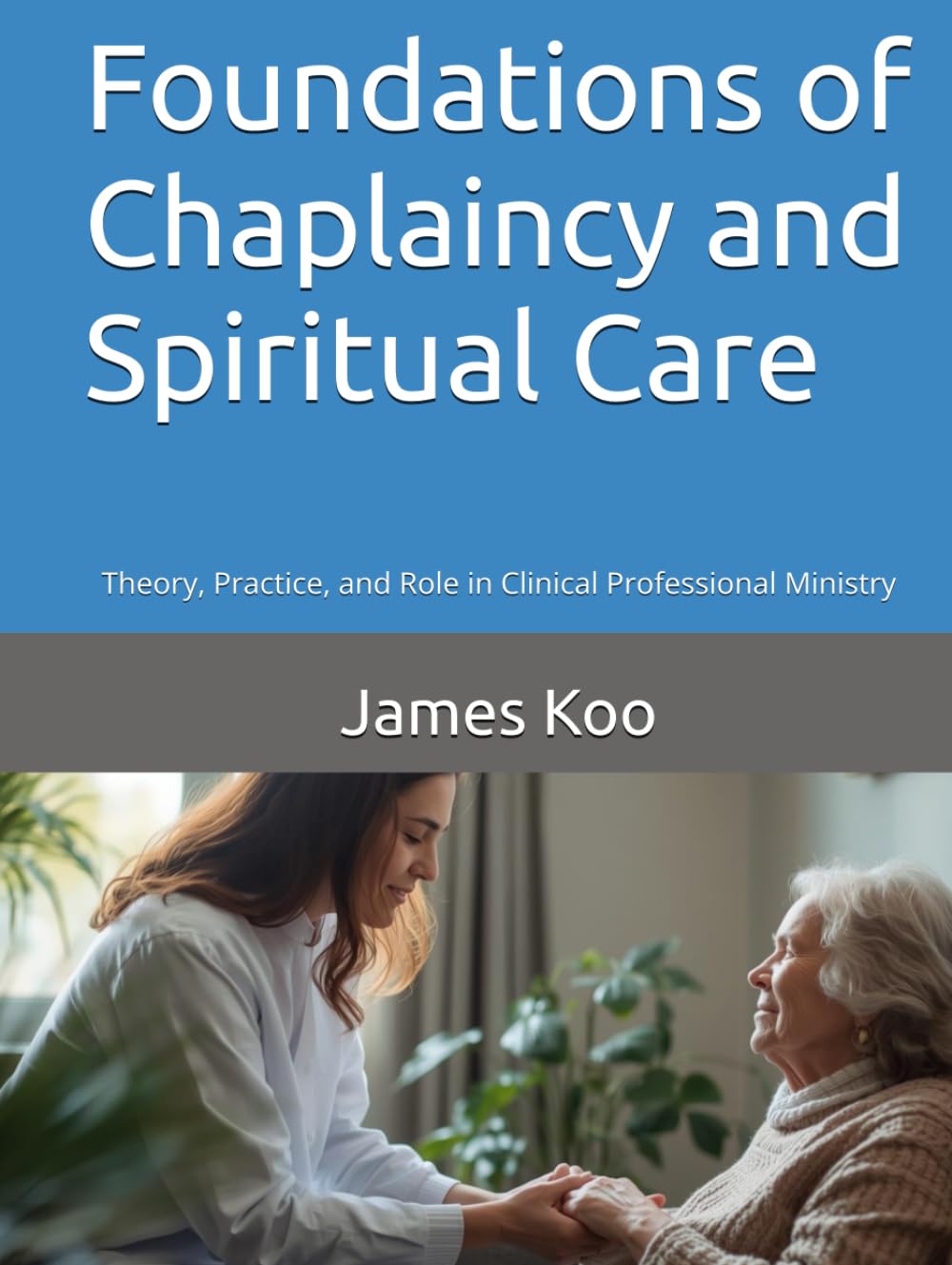 Foundations of Chaplaincy and Spiritual Care: Theory, Practice, and Role in Clinical Professional Ministry