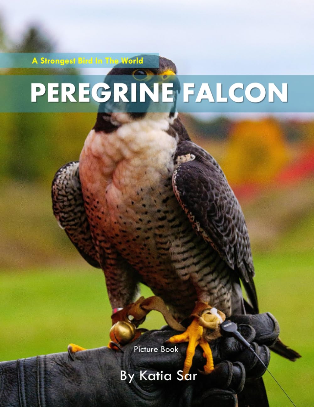 Peregrine Falcon: A perfect Coffee Table Picture Book - For Bird Watchers and Nature Enthusiasts .