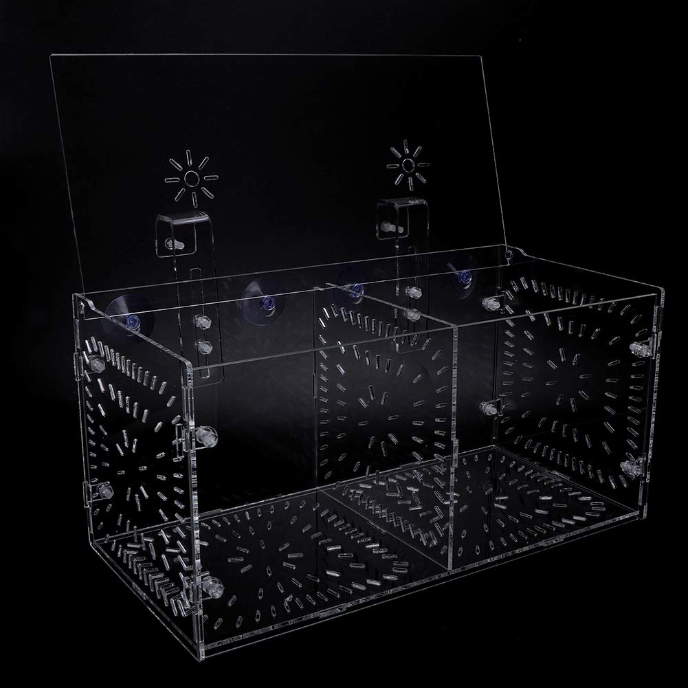 Boîte d’Isolation de Poissons en Acrylique avec Plaque d’Isolation pour Poissons, Crevettes, Clown et Guppy