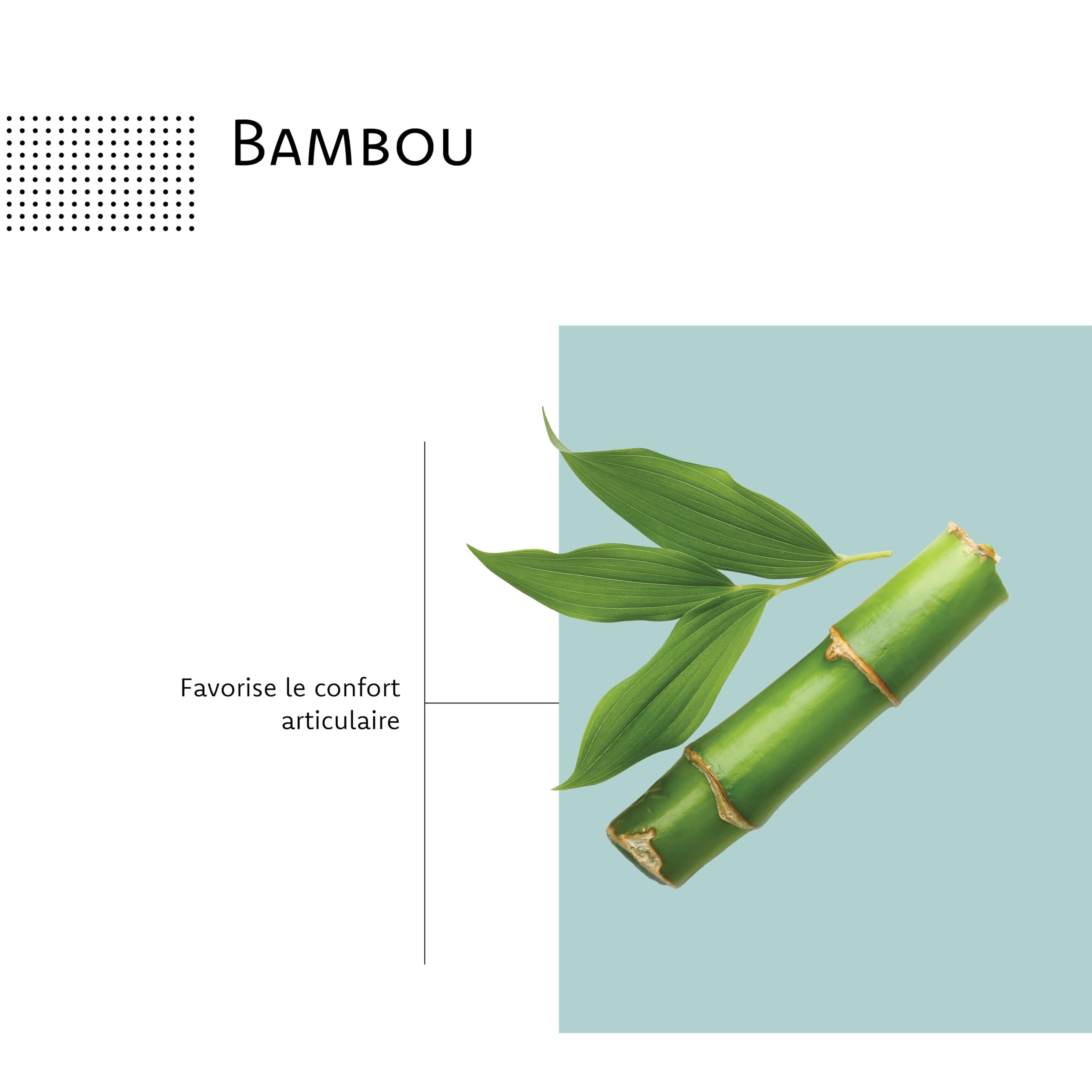 ARAGAN - Synactifs Lot de 2 FlexProtect - Complément Alimentaire Articulations - Collagène, Acide hyaluronique, Bambou, Cuivre - 120 gélules - 1 à 2 mois de prise - Fabriqué en France