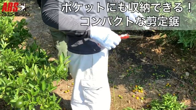 アルスコーポレーション210DXで手軽に庭木の剪定