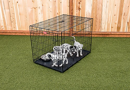 Lucky Dog 2 Door Dog Kennel (42-inch)