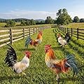 Riakrum 4 Pcs Metal Rooster Outdoor Garden Statues Decor Yard Chicken Decorations Metal Chicken Sculpture for Backyard Patio Kitchen Decor & Lawn Ornaments, 2 Size