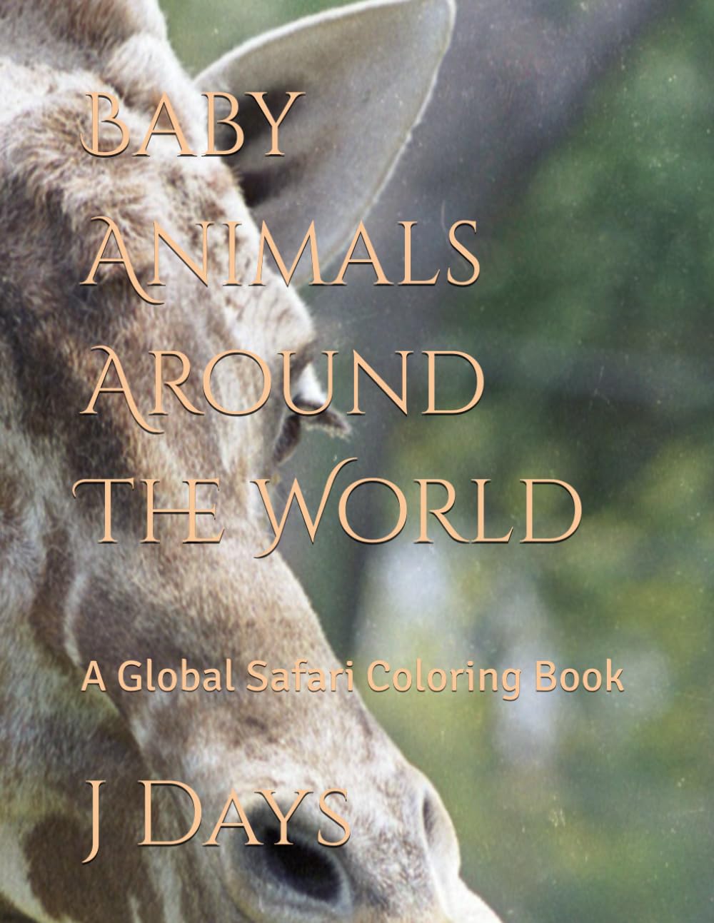 Baby Animals Around The World: A Global Safari Coloring Book