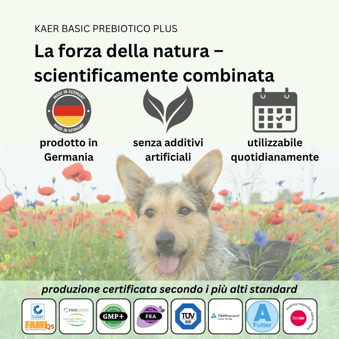 Prebiotici per Cani – Fermenti Lattici e Fibre per la Flora Intestinale, presso Prurito, Zampe, Ghiandole Anali e bruciore di stomaco, 150 Drops