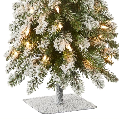 National Tree Company 3 ft Pre-Lit Flocked Downswept Forestree Mini Artificial Christmas Tree,50 Clear Lights, 198 Tips, Metal Plate Base, Green by National Tree Company - Image 3