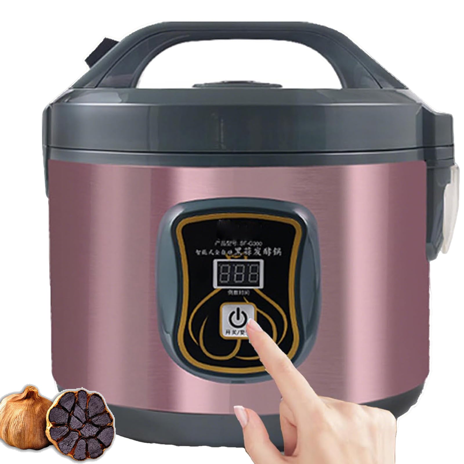Fermenteur d'ail noir maison pour enrichir vos recettes saines