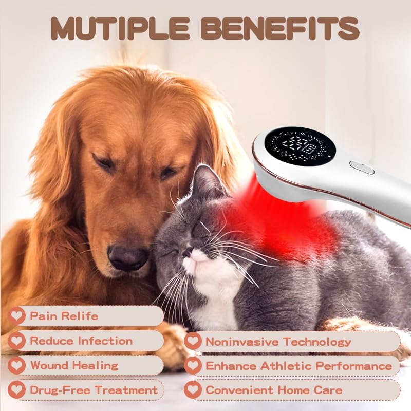 Red Light LLLT Cold Laser Therapy for Pet Dogs Cats Horses Vet, Near Infrared Light Therapy Device for Muscle & Joint Pain Relief Wound Healing Care Reduces Inflammation with Upgrade Protective Cover