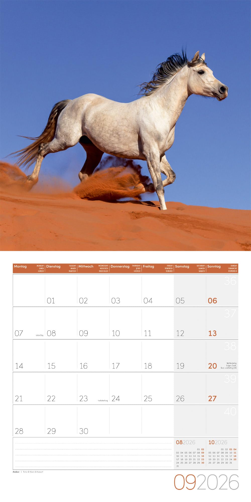 Pferde Broschürenkalender 2026 - 30x30 - Art12: Bildstarker Tier-Kalender im schlanken Hochformat (aufgeklappt 30x60 cm) | mit Eintrage-Kalendarium
