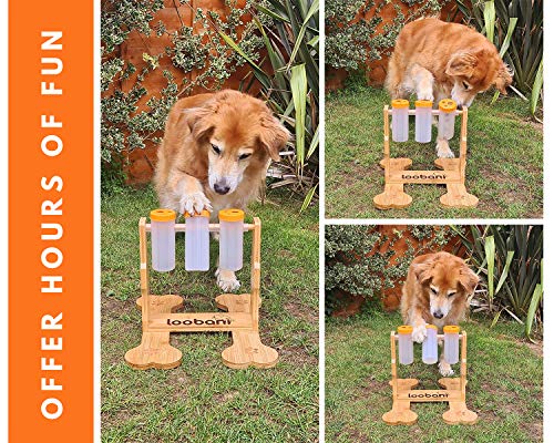 Loobani Dog Puzzle Toys Wooden - Interactive Dog Toys For Boredom, Iq Training And Mental Brain Stimulation, Treat Dispensing Dog Toys/Dog Entertainment Toys/Food Slow Feeder For Small To Large Dogs #TOP5