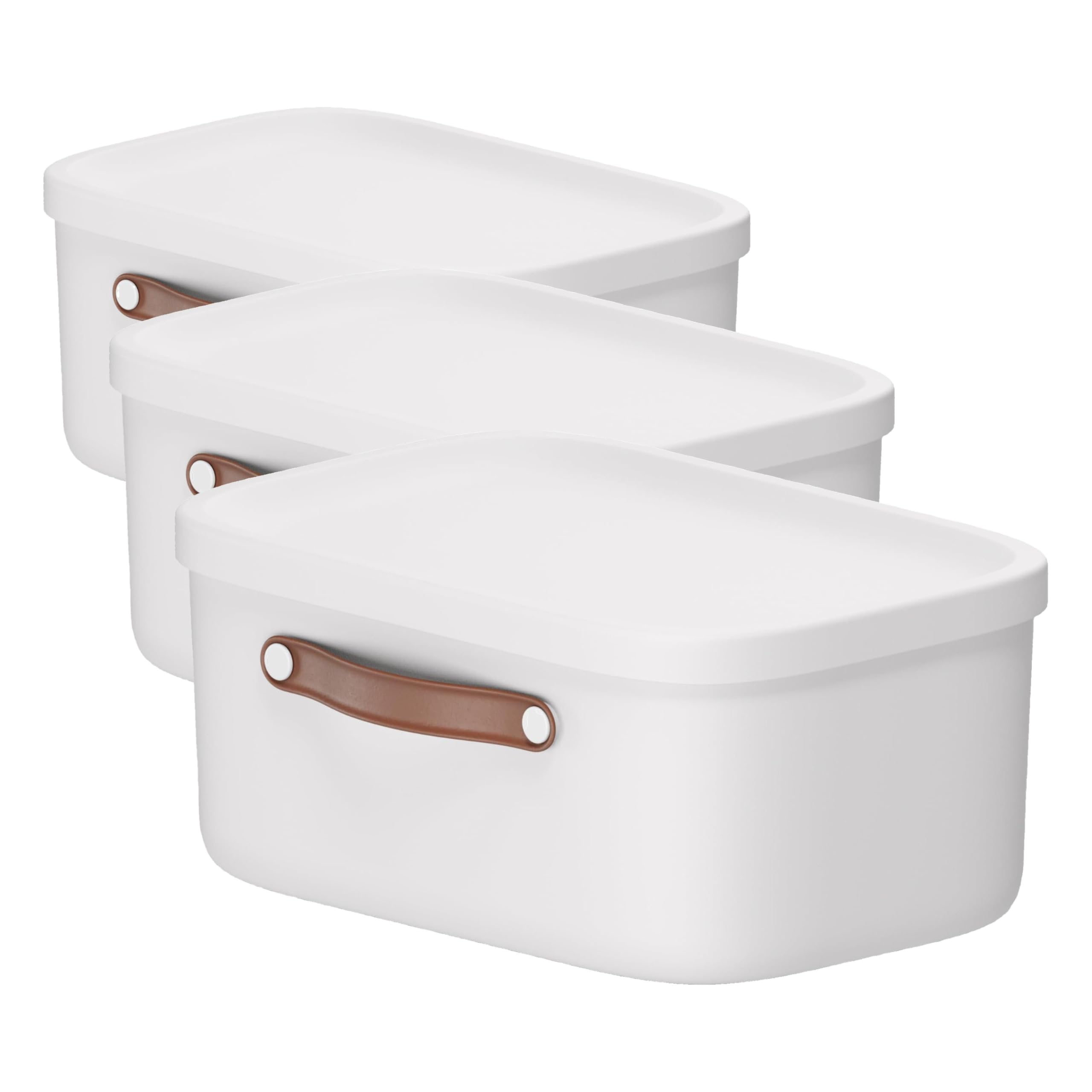 Rotho Caja de almacenaje con tapa y asa, 12 L, Blanco (Paquete de 3)