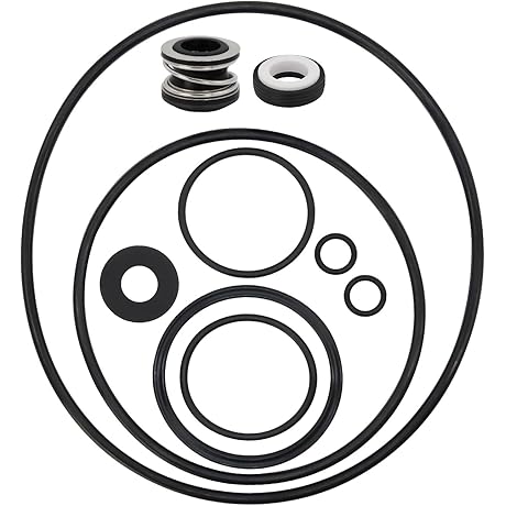 Pentair Pump Parts PS-200 Pump Seal & O-Ring Rebuild Repair Kit
