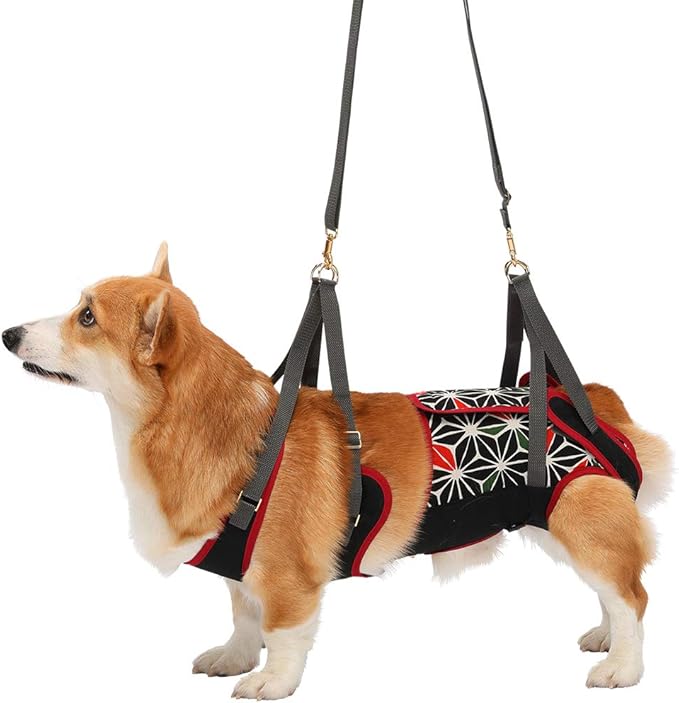 即出荷 Lalawalk 歩行補助ハーネス With ウィズ 送料無料 M 中型犬 コーギー用 1 X Mサイズ 犬 ボーダーマスタード 介護用品 即出荷 Lalawalk 歩行補助ハーネス With ウィズ 送料無料 M 中型犬 コーギー用 1 X Mサイズ 犬 ボーダーマスタード 介護用品