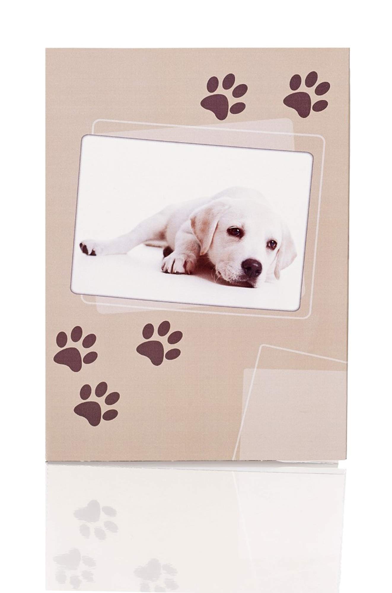 Rössler 11701108000 Dog Paw Writing Set