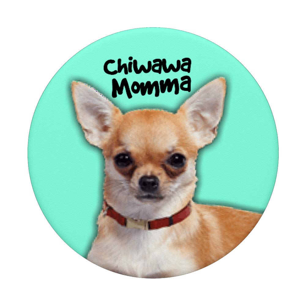 Amazon.com: Chiwawa Momma Mint Turquoise Chihuahua Mom Dog Lover Toy Pop  PopSockets PopGrip: Swappable Grip for Phones & Tablets : Cell Phones &  Accessories