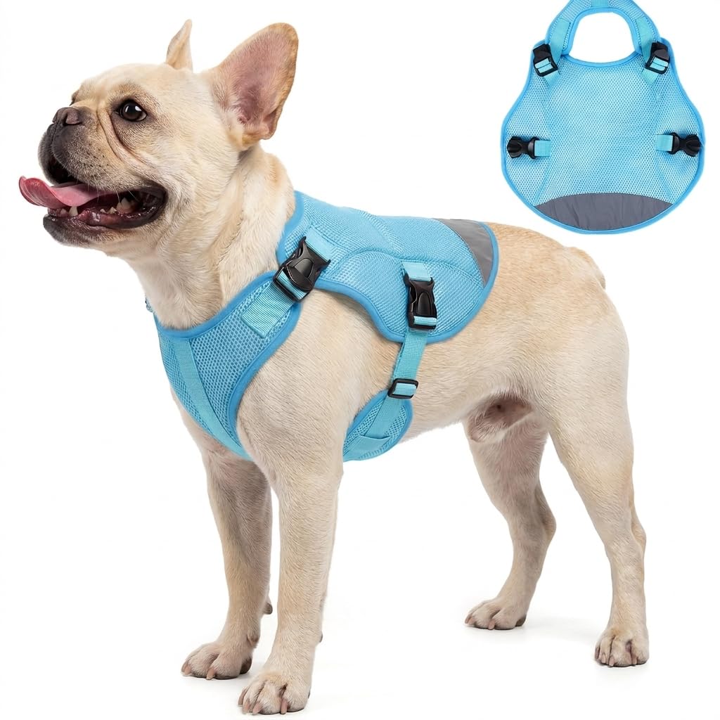 Kühlweste Hund S, Atmungsaktive Hundekühlweste für kleine Hunde, Verdunstungskühlung, Saugfähiges Material, Reflektierende Streifen, Verstellbarer Bauchgurt, Einfach An- und Ausziehen Grün