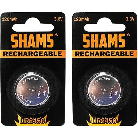 5 Pièces Rechargeables 2450 Batteries 3.6 V Haute Capacité