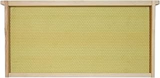 Mann Lake Premium Beekeeping Frames, Fully Assembled, Enhanced Max Wax Coating for Rapid Comb Drawing, Universal Fit, BPA & BPS Free, 9 1/8 Inches, Natural, 20-Pack