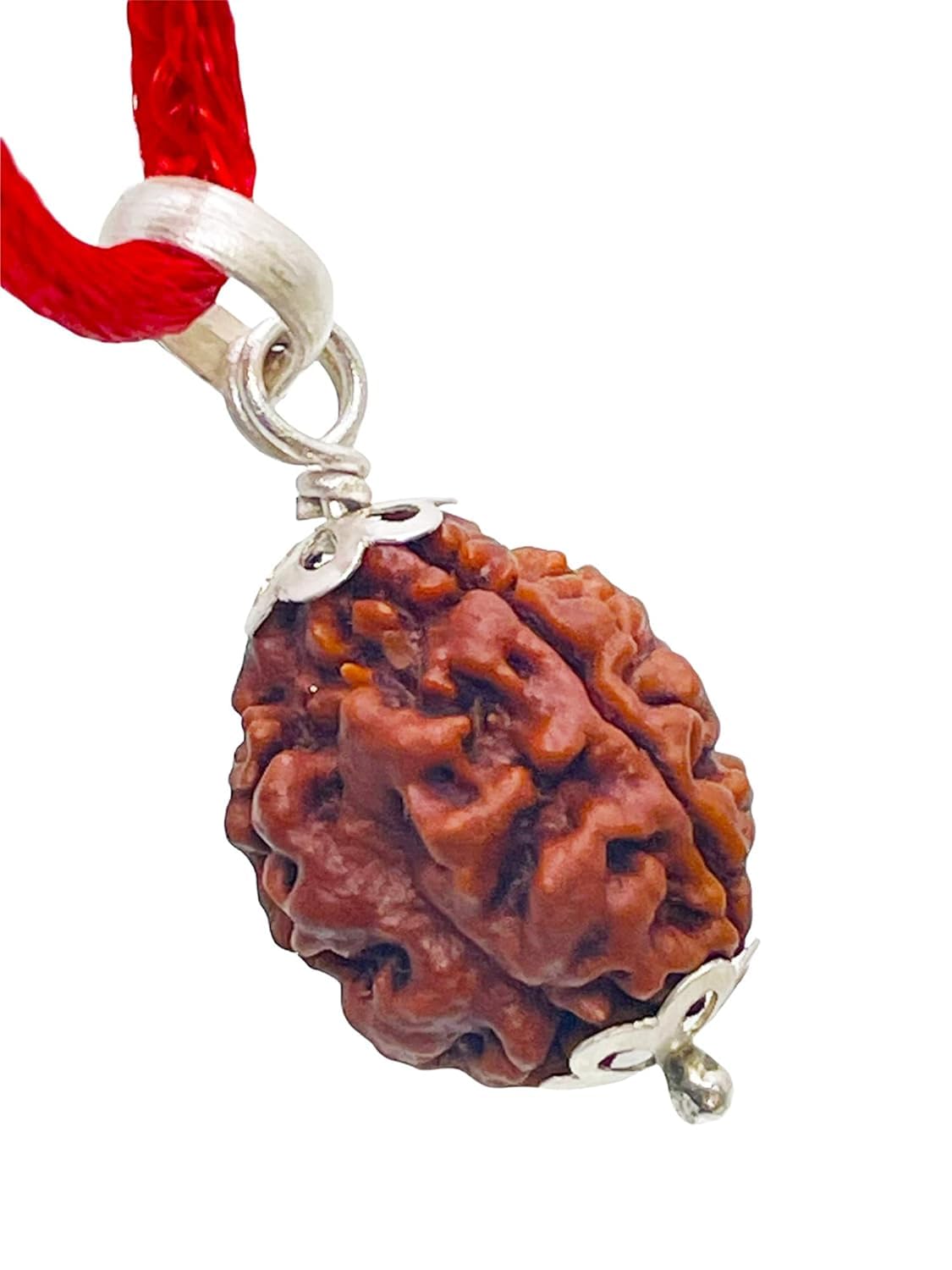 Ani Divine 3 Mukhi Rudraksha Nepali Pure Teen Mukhi Rudraksh तीन मुखी रुद्राक्ष 3 Face Rudraksha Original Certified 3 मुखी रुद्राक्ष Brown Holy Bead-image-8