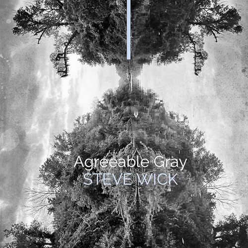 Agreeable Gray