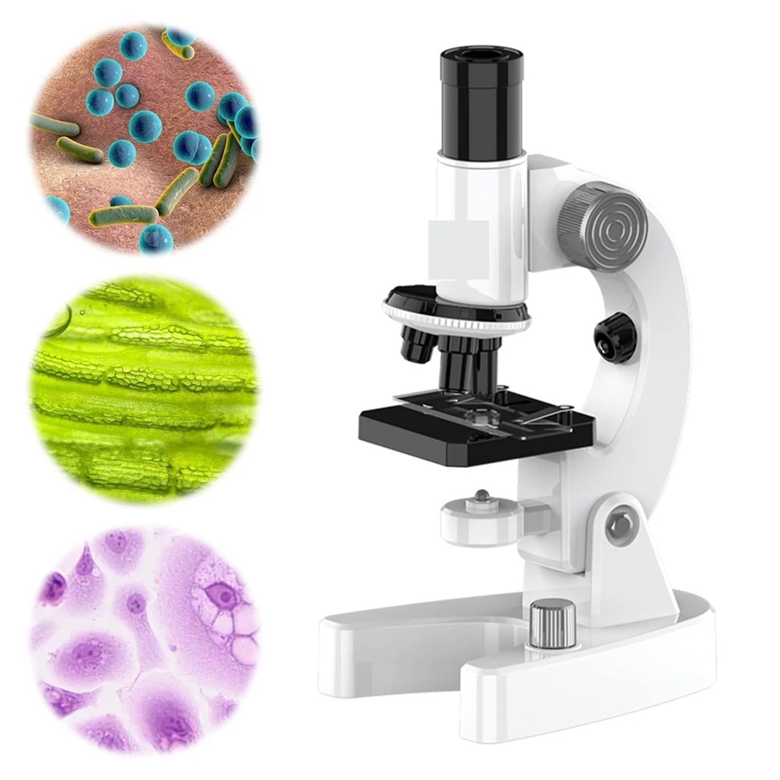 Microscopio, Microscopi, Microscopio Monoculare A LED 200X-4800X Con Set Di Vetrini Per Studenti Adulti Per Laboratorio Scolastico Homeschool per piante