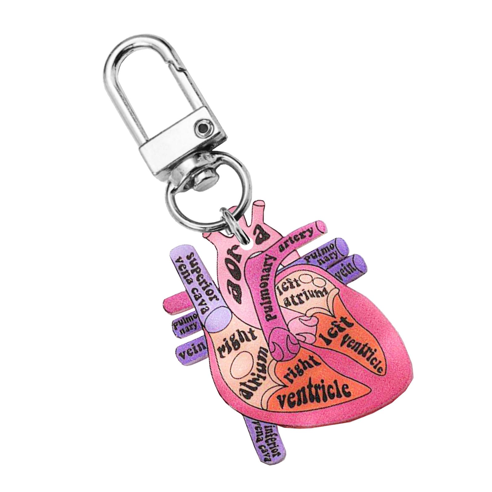 Gissroys Sturdy Acrylic Heart Schematic Keychain Unique Human Keychain Scientists and Those Interested in Biology Human Keyring