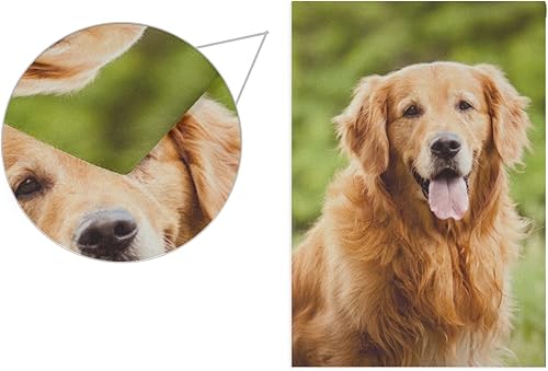 Miniatura 3 de Hokkien Smiling Golden Retriever - Bandera de jardín para perros de doble cara de 12 x 18 pulgadas, banderas decorativas de jardín pequeñas,