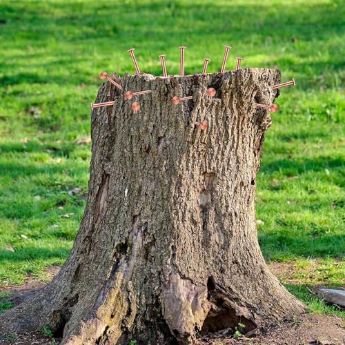 Elqubkan 25 Kupfernägel zum Töten von Bäumen, Nägel aus reinem Kupfer, 8,9 cm (3,5 ), 1 Stück, Hardware zum Entfernen von Baumstumpfen