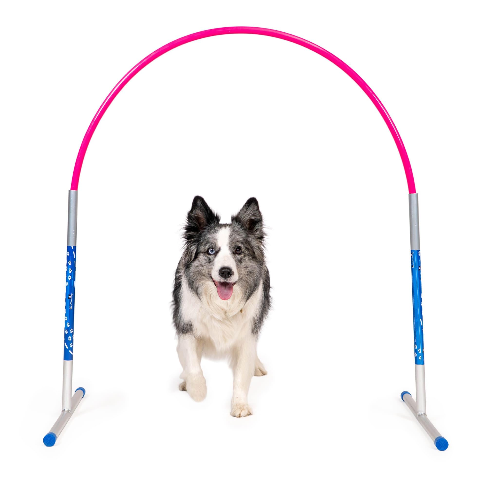 Hoopers Agility Hoops - NADAC Hoopers Agility Hoops bez podpory środkowej (duże opakowanie)