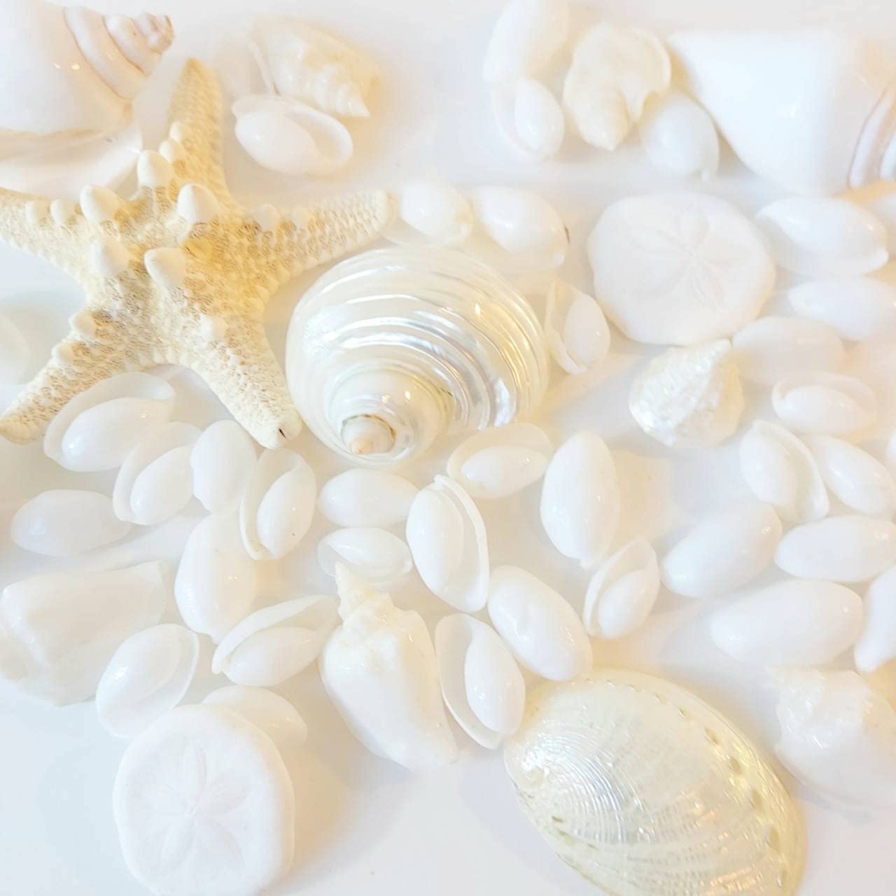 青と白の貝殻モビール　2ケセット 青と白の貝殻モビール 2ケセット