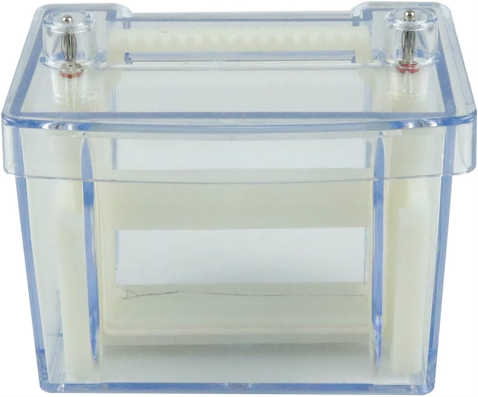 Mini-Vertikalelektrophorese-Tank – Demonstrationsinstrument Für Den Biologieunterricht An Gymnasien – Der Prozess Der Migration Elektrischer Teilchen In Der Horizontalen Und Vertikalen Elektrophorese