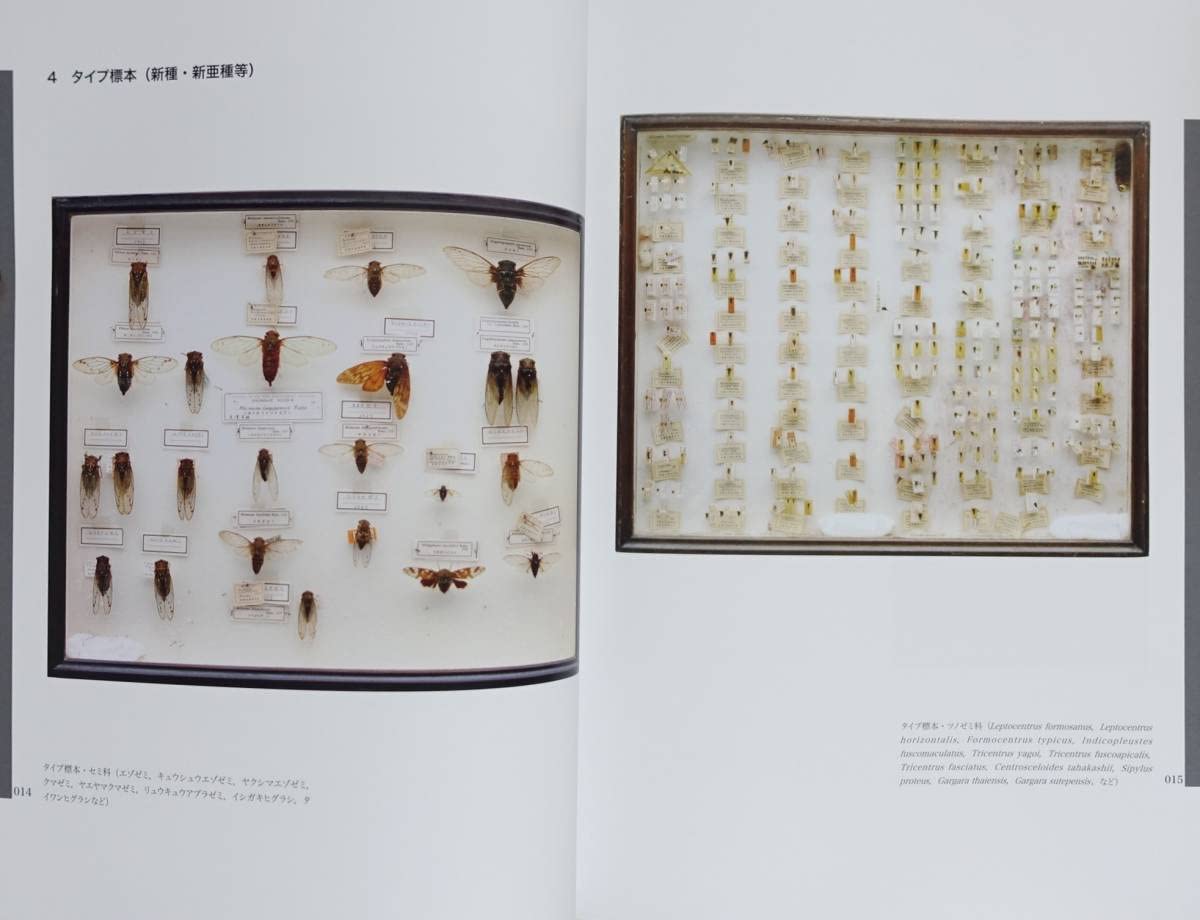 Amazon | 『類博物館 加藤正世博士の世界』 図録 昆虫学 昆虫
