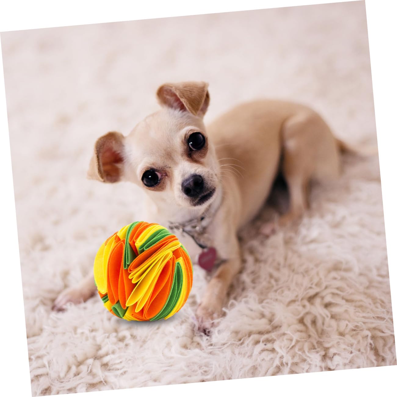 Sosoport 3stücke Hundespielzeug Für Welpen Buntes Kauspielzeug Mit Zahnpflegefunktion Interaktiver Futterball Hand-gehirn-koordination Langsame Futteraufnahme Für Drinnen Und Draußen