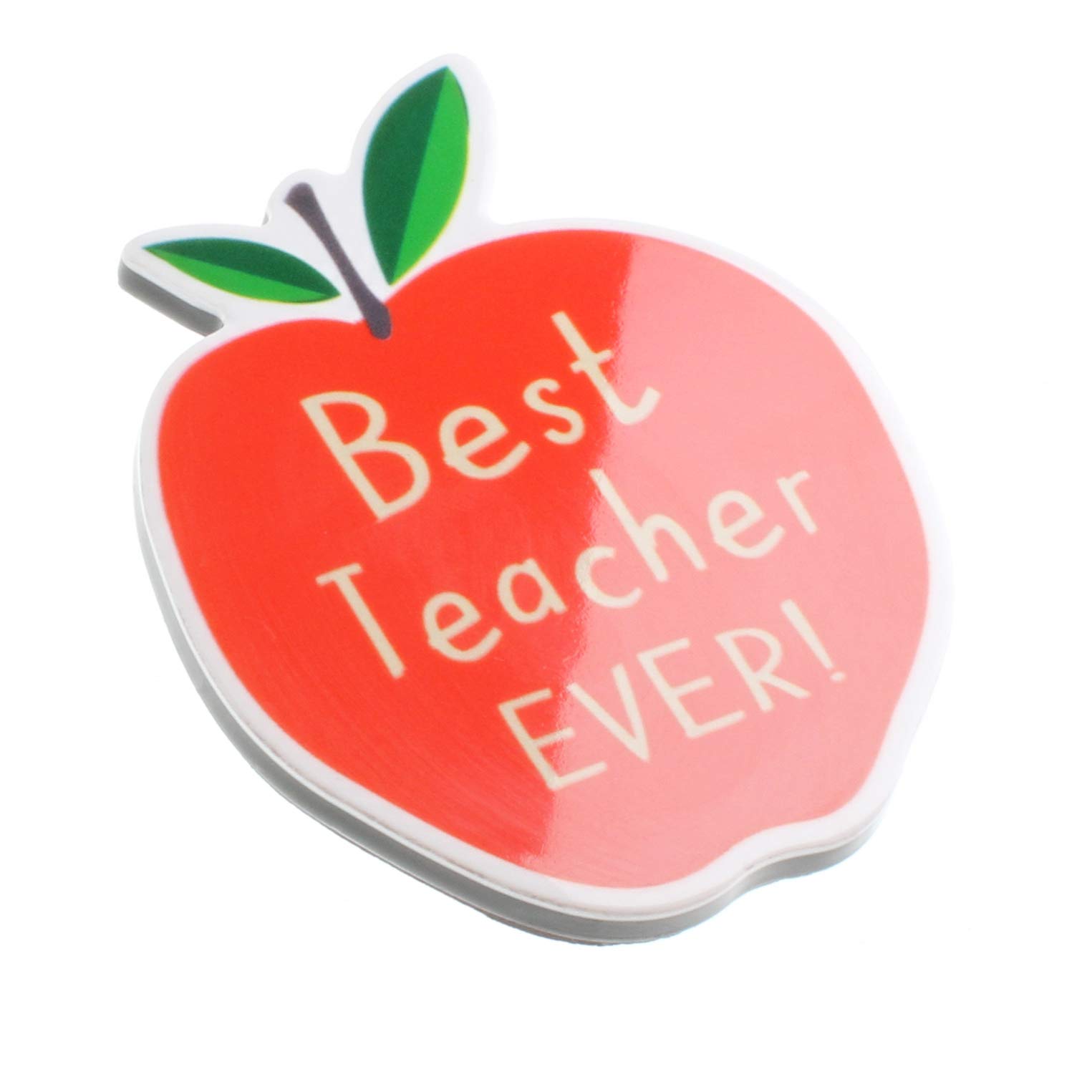 Best Teacher Ever Apple Quote Novelty Magnet