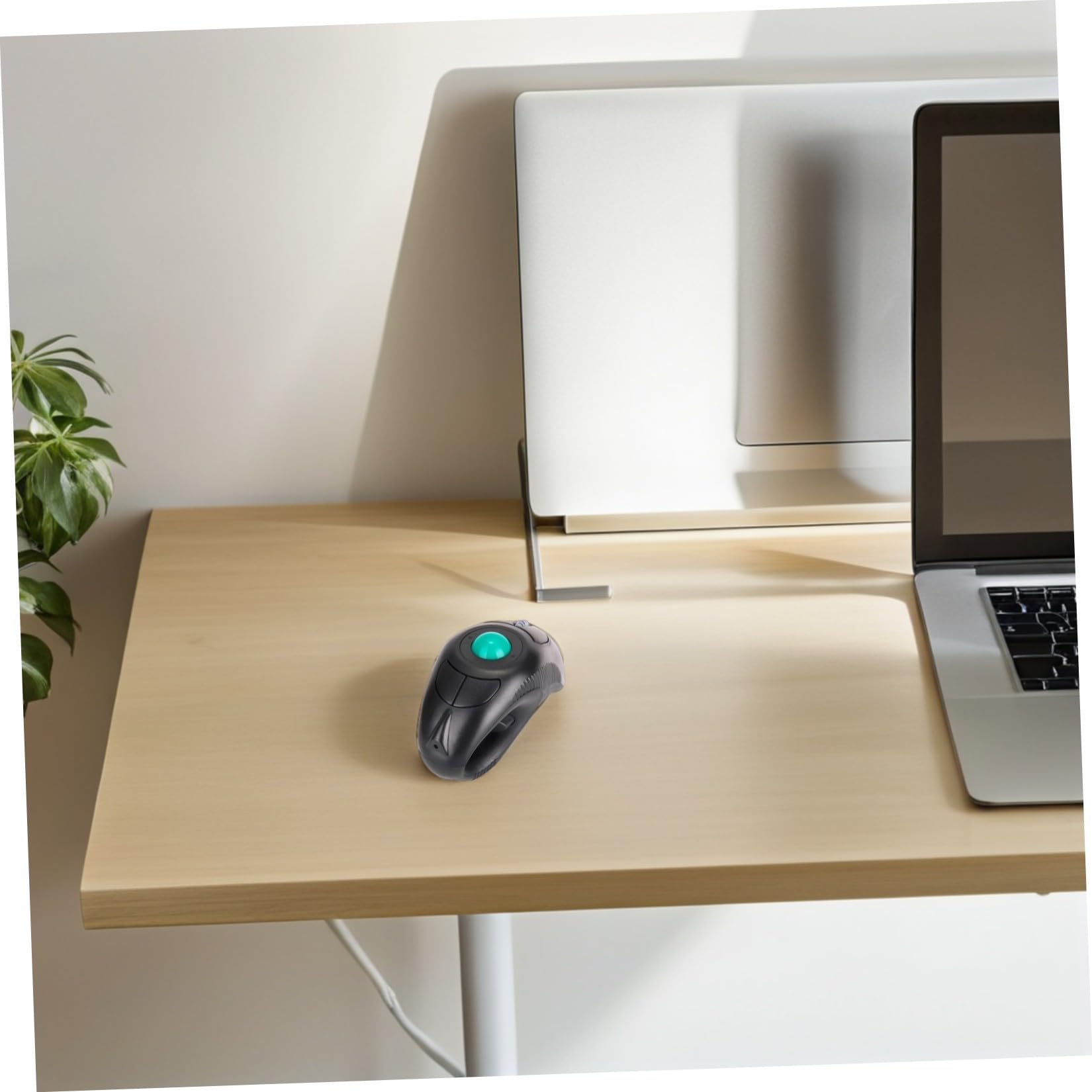 Souris à Boule de Commande sans Fil 1000 Dpi Plastique Noire | 2, 4 Ghz et Port Usb, 5 Touches, Forme Dauphin, Usage Portable pour Ordinateur Portable